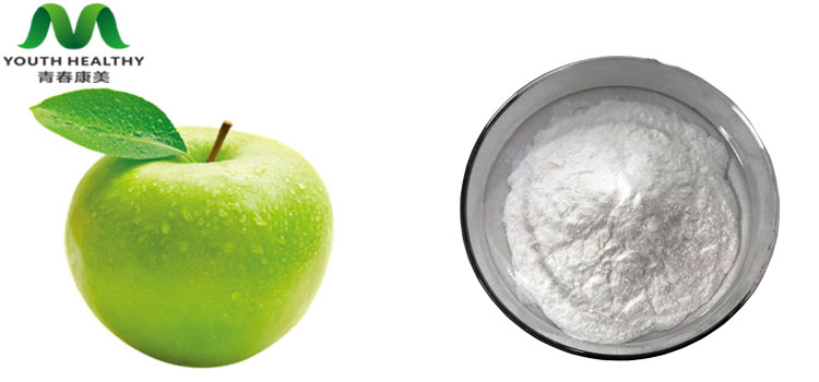 Apple Vinegar Powder