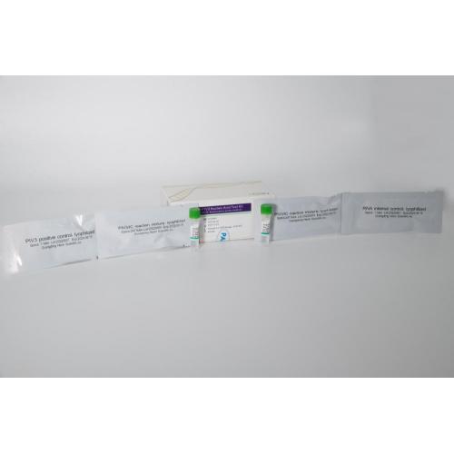 Kit Uji Asam Nukleat PIV3 (Metode Probe Fluoresensi PCR)