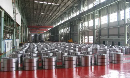 HBIS Tangsteel galvanized steel coil Zinc coated steel coil