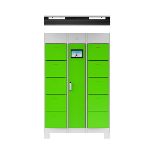 10 warehouse shared electric car flushing cabinet
