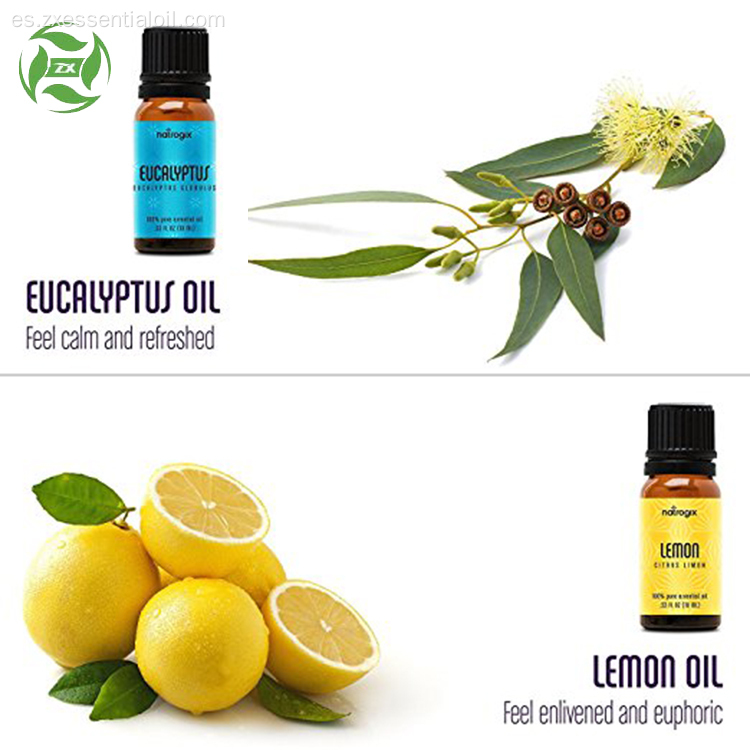 Set de regalo de aceite esencial de aromaterapia Pure and Nature