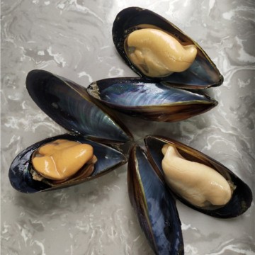 Frozen Green Lipped Mussel Meat