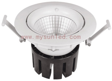 Hot Sell Model New Private Mold LED Light LED Down Light LED Downlamp