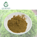 مستخلص Arborvitae للمكملات الغذائية
