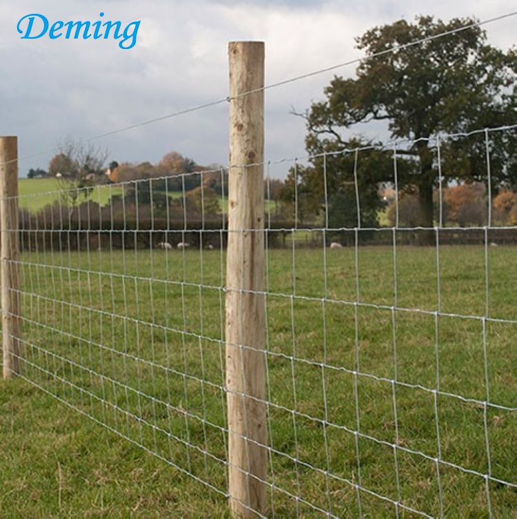 Cheap Price Hot Dipped Galvanized Grass Land Fence