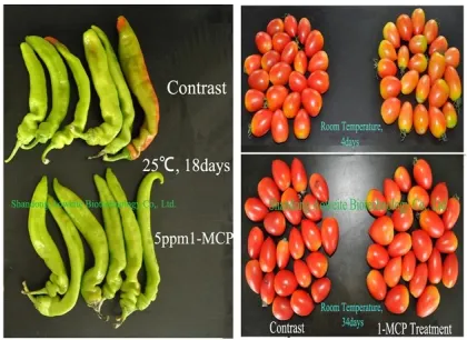 1-MCP Health Fruit Fresher