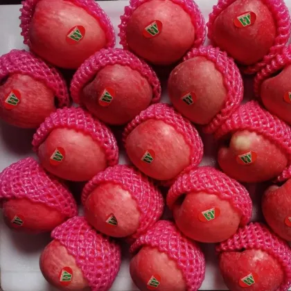 Super Crispy Sweet Red Fuji