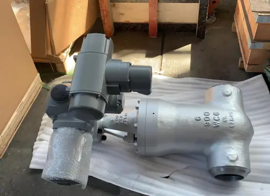 6" 900LB WC6 Gate Valve