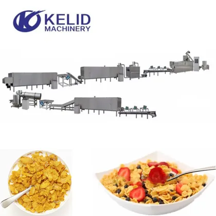 Corn Flakes Cereal Manufacturing Plant