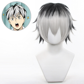Ainizi Wholesale 32cm Short Grey with Highlights Kotaro Bokuto Cosplay Wig for Men - Japanese Anime Haikyuu!!