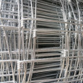 High Standard Electro Galvanized Welded Wire Mesh