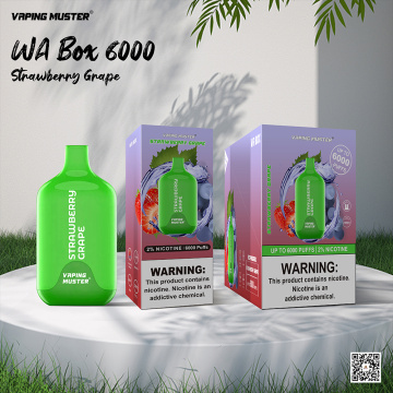 WA ejuice 6000 puffs