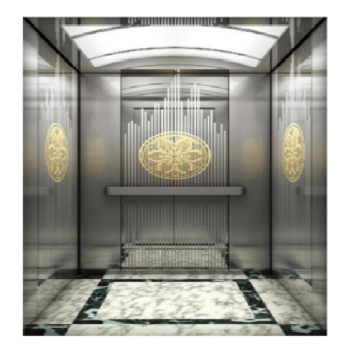 High Quality Custom 2-6 Floor Colorful 800kg Household Elevator for Sale
