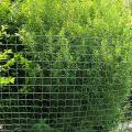 Plastic Agricultural Farm Fencing