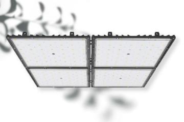 बढ़ते तंबू के लिए 600W ग्रो लैंप