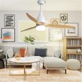 New items pure copper motor ceiling fan light