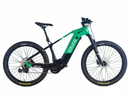 Shimano BA FANG Centra Motor 36V Electric Mountain Bike with Hydraulic Brake
