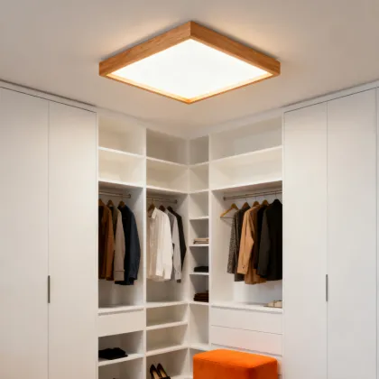 Remote Dimming Ceiling Light