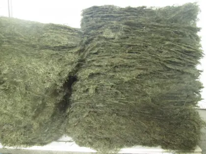 chuka wakame laminaria dried raw