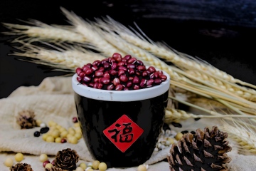 Red Beans Foods Products