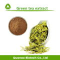 Groene thee-extract EGCG 98% poeder afvallen