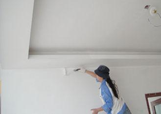Cement Based Interior Wall Putty White With Synthetic Polym