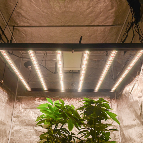 Ny Spider LED Plant Light 640W