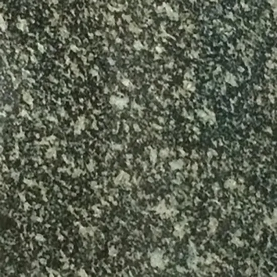 Sophora japonica green dry hanging