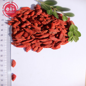 Medicamentos certificados saludables bajo pesticidas Goji Bayas