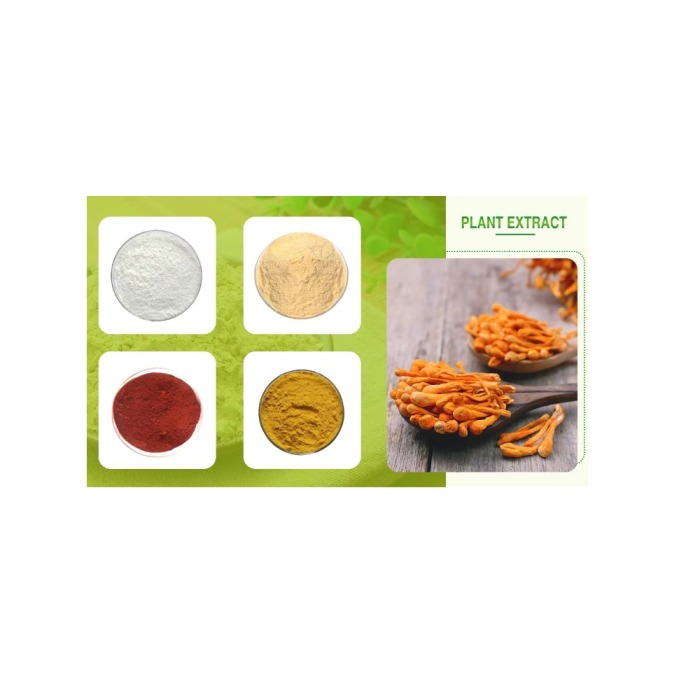 Urolithin A Standardized Extract Powder