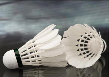 High Quality Badminton For Sale