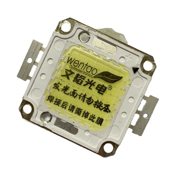 High Brightness P10 RGB Outdoor Integrated 50W/100W 3030 COB High Power LED Light