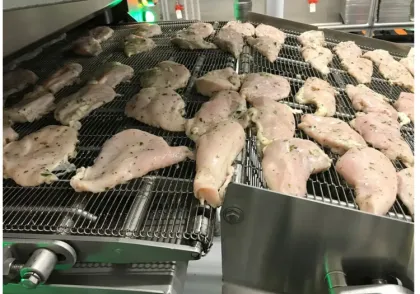 Best Belt Conveyor Systems