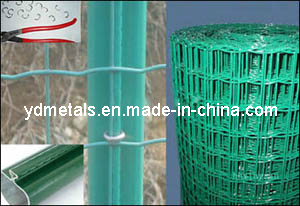 Holland Mesh Fence/Euro Fence Yd-Fn-He