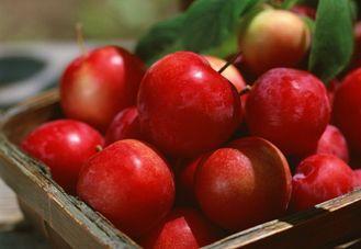 Round Pome Fruit Red Gala Apple Small , Average Weight 280g