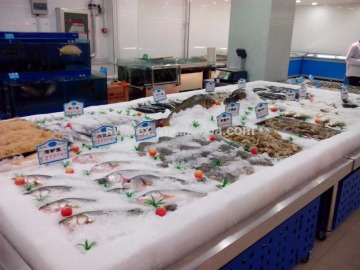 APEX custom make commercial supermarket restaurant seafood freezer