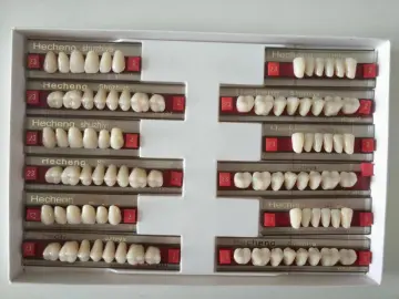 dental two layers full set resin teeth