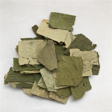 Lotus Leaf Extract Natural Weight Loss Functional Food
