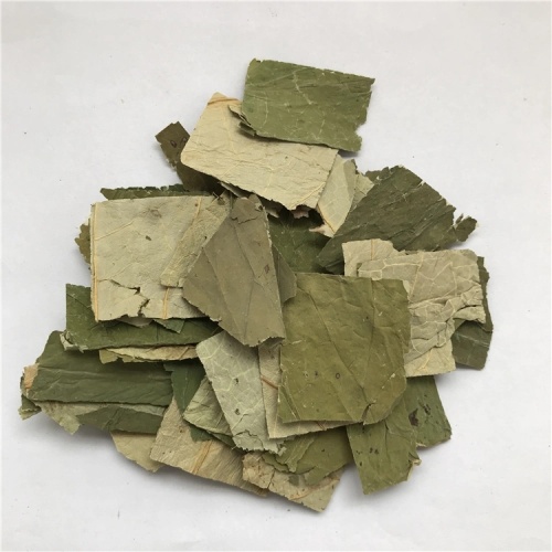 Lotus Leaf Extract Natural Weight Loss Functional Food
