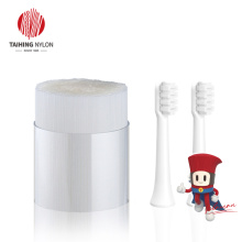 Dây tóc nylon PA612 Bàn chải đánh răng loại phẳng