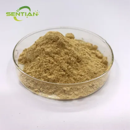 Premium Monk Fruit Extract