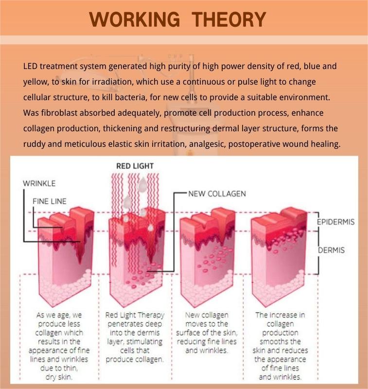 theory of pdt beauty machine