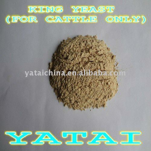 The King Yeast As Cattle Feed, High Quality The King Yeast As Cattle