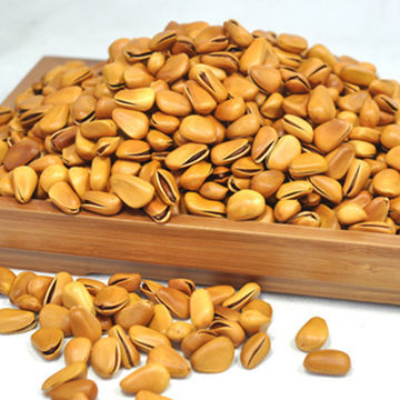 Pin Nuts, Import Agent, ISO 9001:2008 Standard