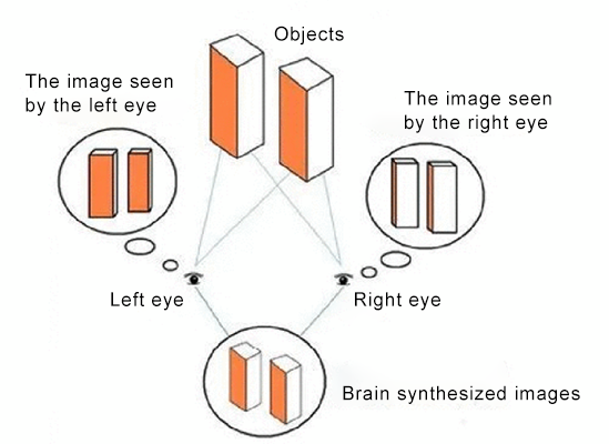 Principle of Naked Eye 3D Technology 01