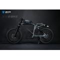 Electric bike 1000W e motorbike