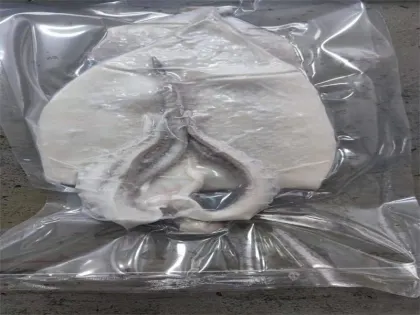 Frozen Seafood Whole Squid
