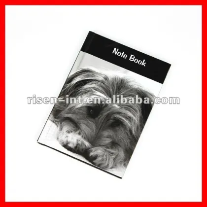 2013New arrival notebook office supplier