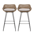 Outdoor Wicker and Iron Low Back Barstools
