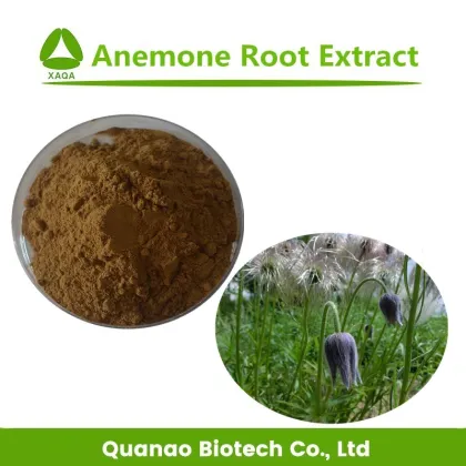 Pure Natural Anemone Root Powder Extract Anemone Extract